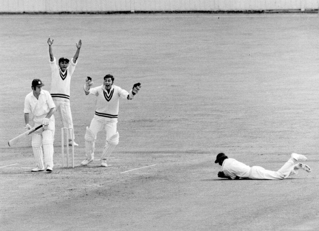 Most Ducks in Test History